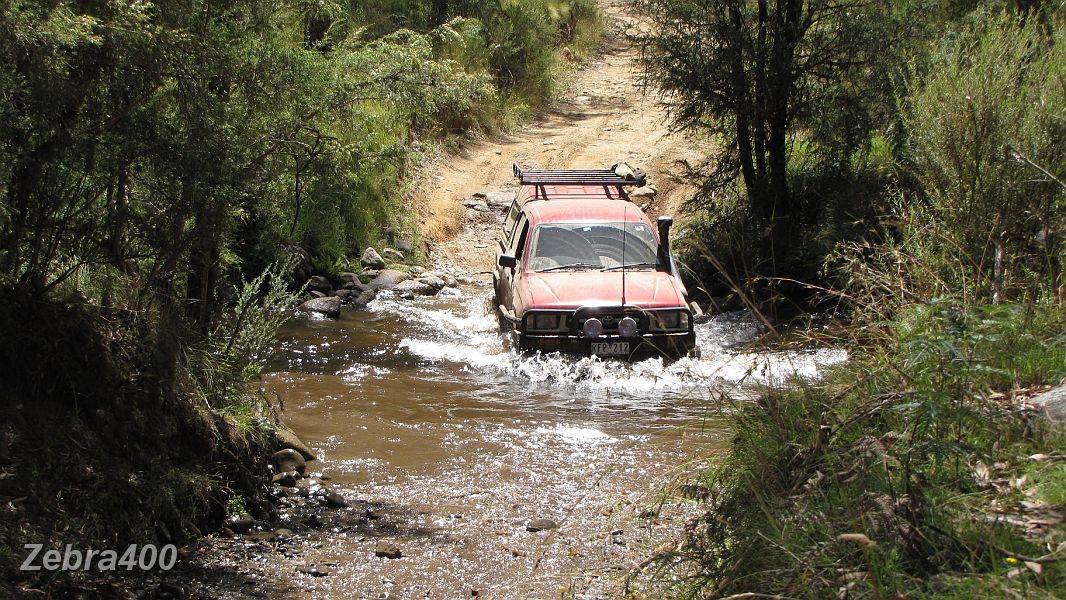 33-Gopher splashes across Buckwong Creek near NSW border.JPG - 33-Gopher splashes across Buckwong Creek near the Vic/NSW border